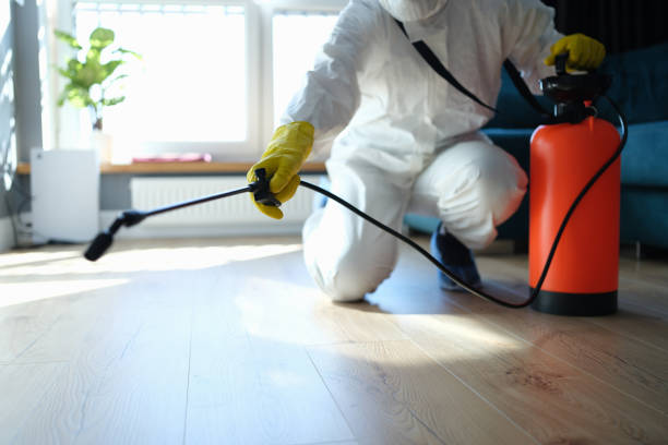 Reliable Odor Removal contractor in Coloma, CA by Dulley Family Biohazard Services